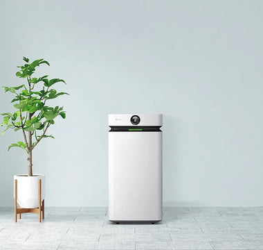 How Much Does It Cost to Run an Air Purifier?