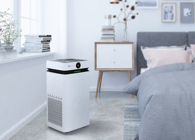 Do Air Purifiers Dehumidify? How to Build the Right Indoor Air System