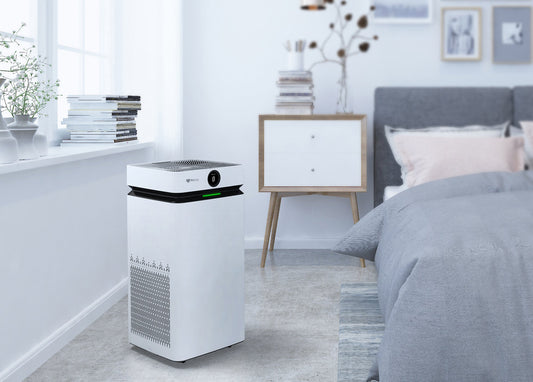 Do Air Purifiers Dehumidify? How to Build the Right Indoor Air System