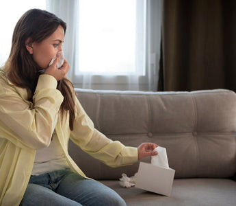 Do Air Purifiers Dry the Air?