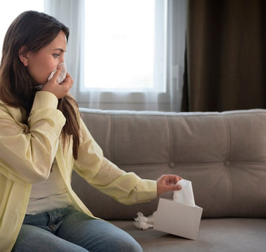 Do Air Purifiers Dry the Air?