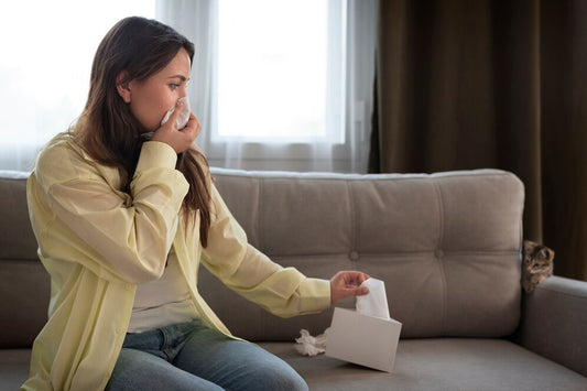 Do Air Purifiers Dry the Air?