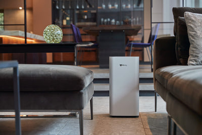 Do Air Purifiers Make Your House Smell Better? How They Remove Odors Naturally