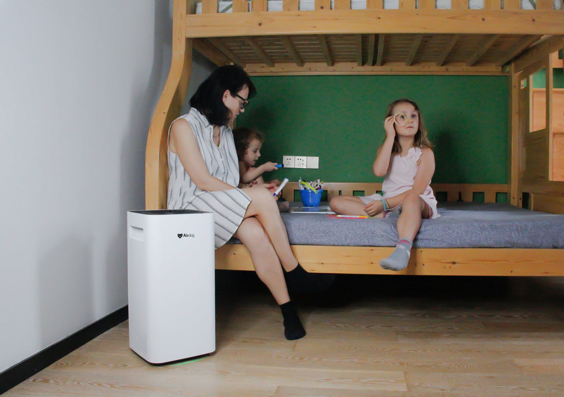 Do Air Purifiers Work? The Truth About How They Clean Your Air and Improve Health