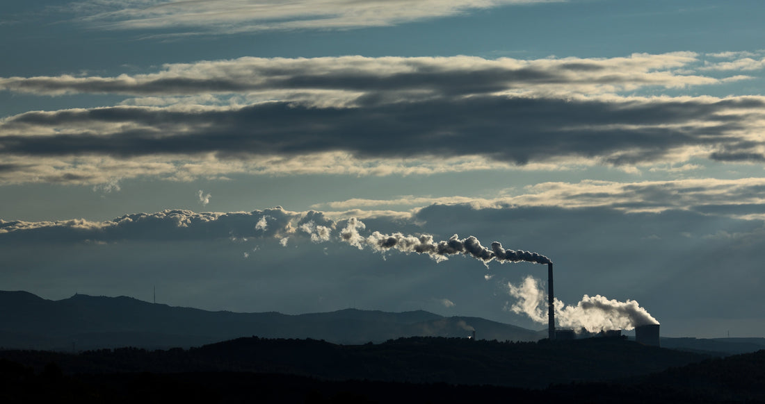 Do Air Purifiers Remove CO2? What You Need to Know for Healthier Indoor Air