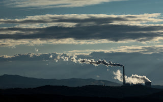 Do Air Purifiers Remove CO2? What You Need to Know for Healthier Indoor Air