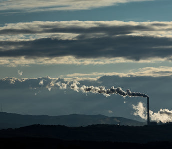 Do Air Purifiers Remove CO2? What You Need to Know for Healthier Indoor Air