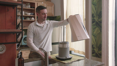 How to Clean Your Humidifier