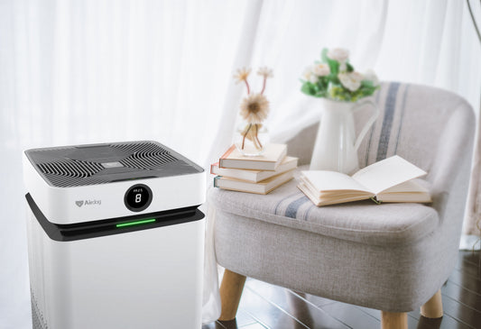 How to Dispose of an Air Purifier the Right Way