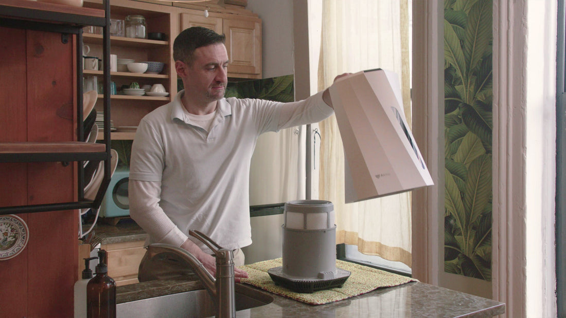 How to Increase Humidity in a Room