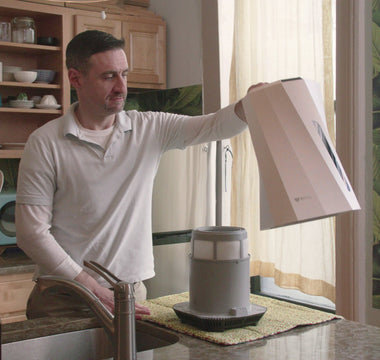 How to Increase Humidity in a Room