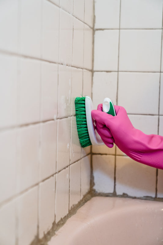 Image of black mold in bathroom