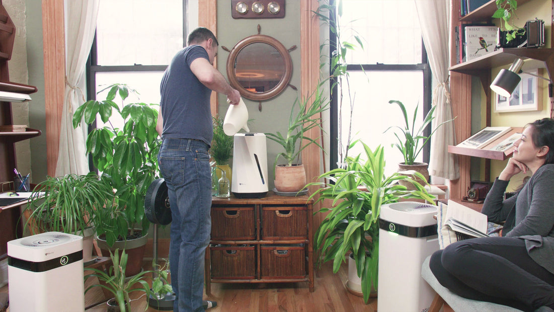 Humidifier and Air Purifier in Same Room: Benefits & Tips