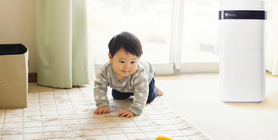 Do Air purifiers help with Mold?