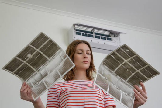a lady holds 2 dirty air filters 