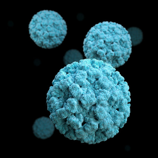 How to Prevent and Treat Norovirus?