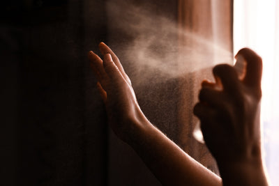 Humidifier or Dehumidifier: Choosing the Right Solution for Your Home