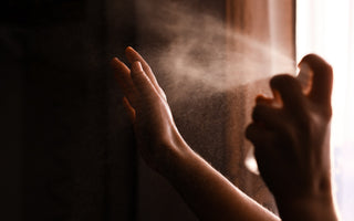 Humidifier or Dehumidifier: Choosing the Right Solution for Your Home