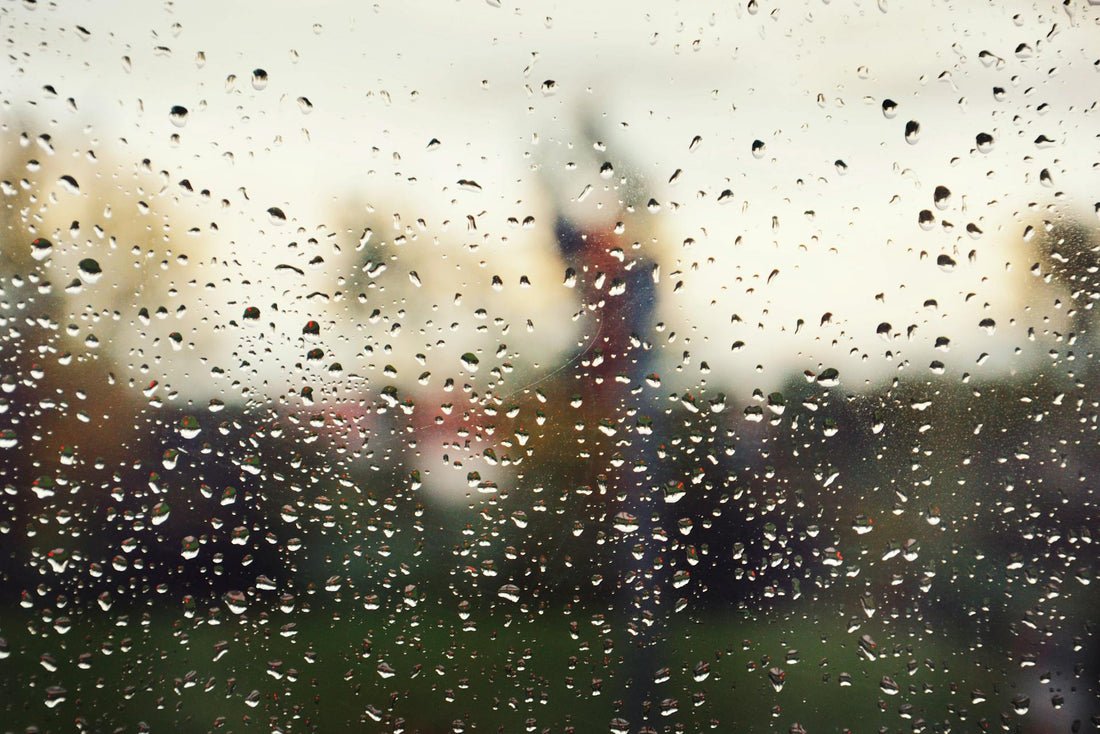 What Does a Dehumidifier Do?