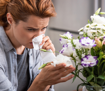 The Truth About Indoor Plants That Cause Allergies: What Allergy Sufferers Should Know
