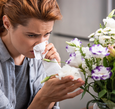The Truth About Indoor Plants That Cause Allergies: What Allergy Sufferers Should Know