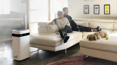 What Do Air Purifiers Do? How They Work and the Health Benefits of Cleaner Indoor Air