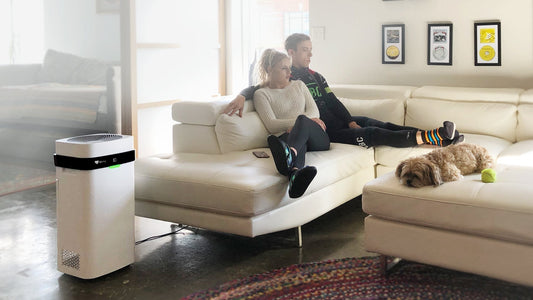 What Do Air Purifiers Do? How They Work and the Health Benefits of Cleaner Indoor Air