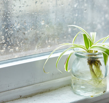 What Percent is Considered High Humidity?