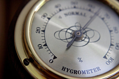 When to Use a Humidifier: Signs Your Home Air Is Too Dry and How to Fix It