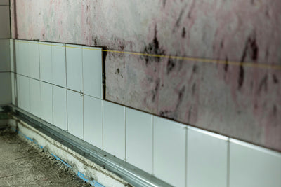 Where Does Mold Grow in Homes?