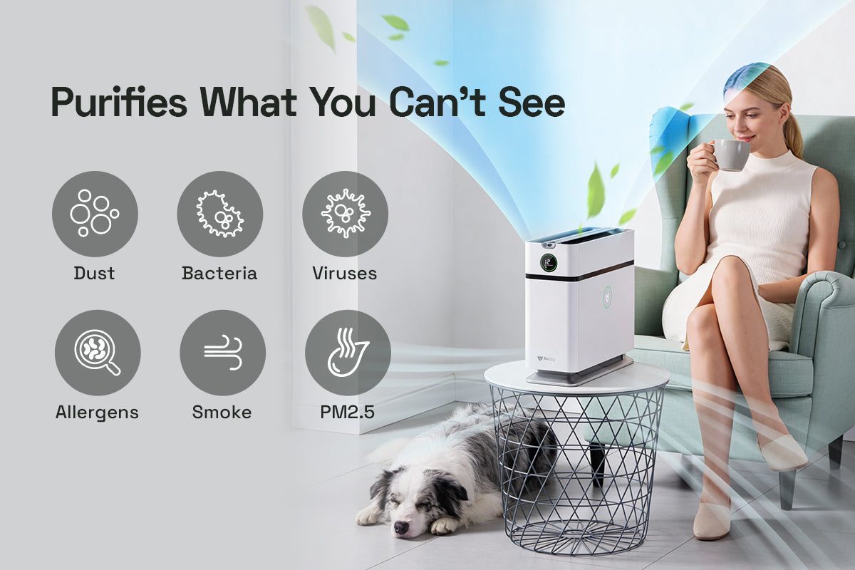 Airdog X1+ Air Purifier – Airdog USA