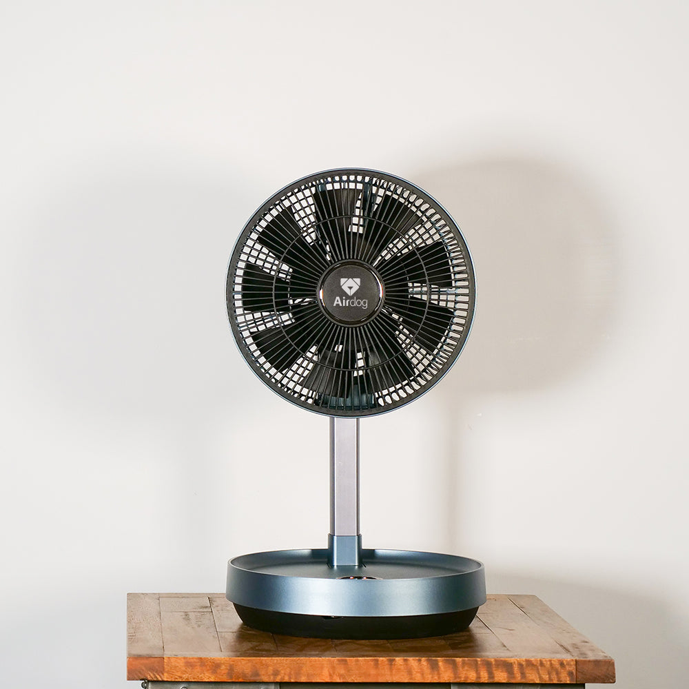 Personal fan on sale