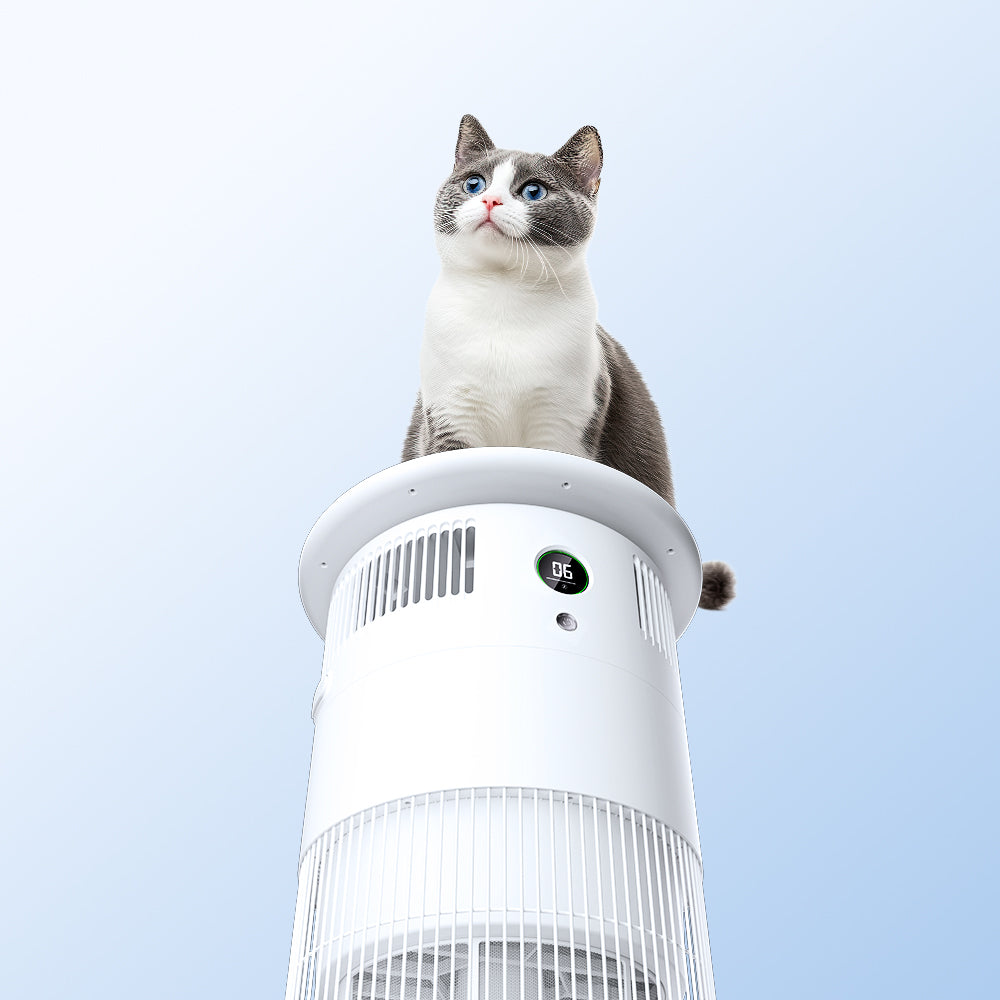 P50 Pet Air Purifier