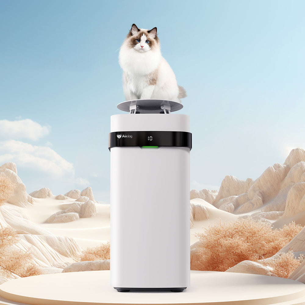 Pet Air Purifier