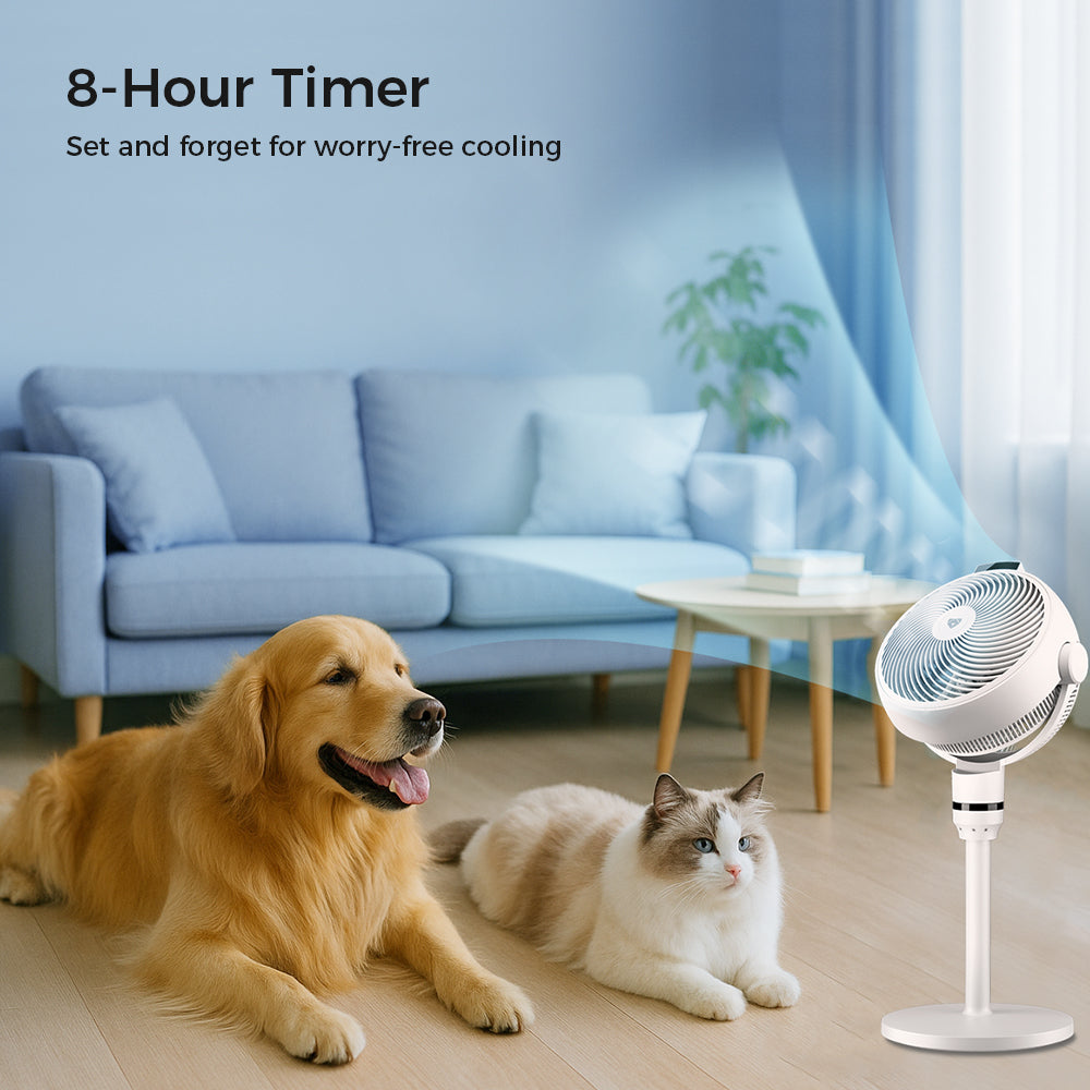 Airdog Smart Circulating Fan SF3