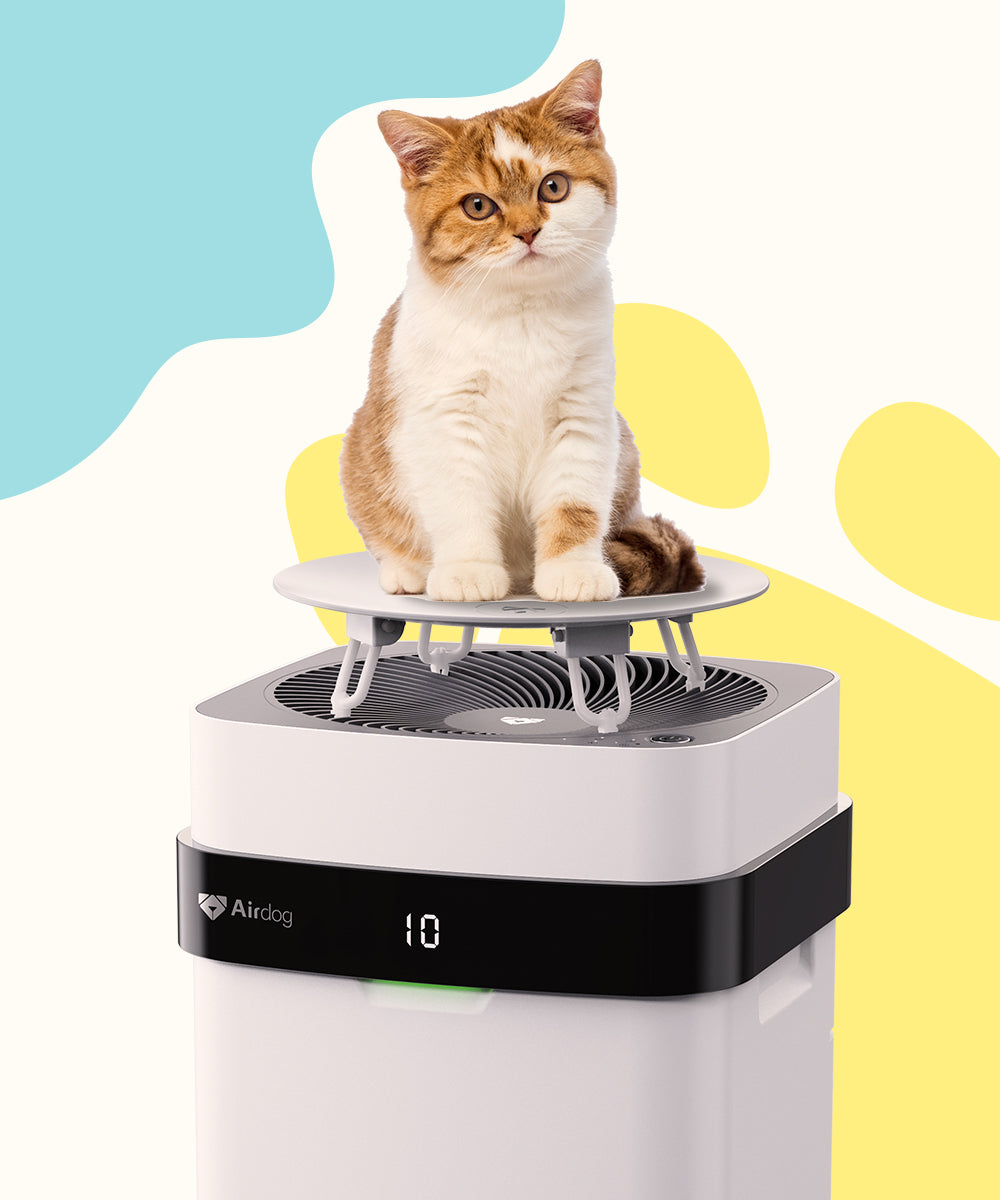 Air dog X1Ｄ Buy Airdog X1 Air Purifier for upto 20 sqm sized spaces in Australia