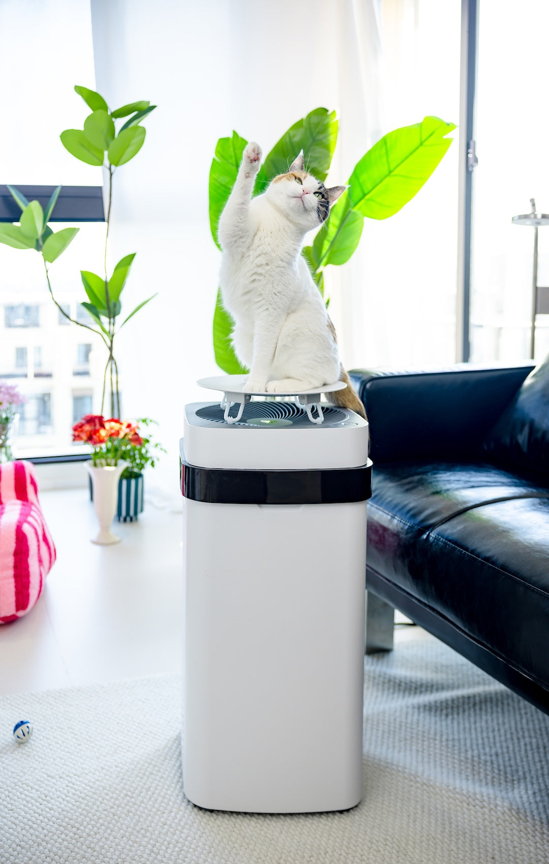 Air Purifier for Pets | Airdog USA