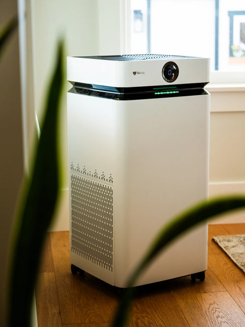 Next-Gen Home Air Purifiers With Green Tech TPA® | Airdog USA Next-Gen Home Air Purifiers With Green Tech TPA® | Airdog USA