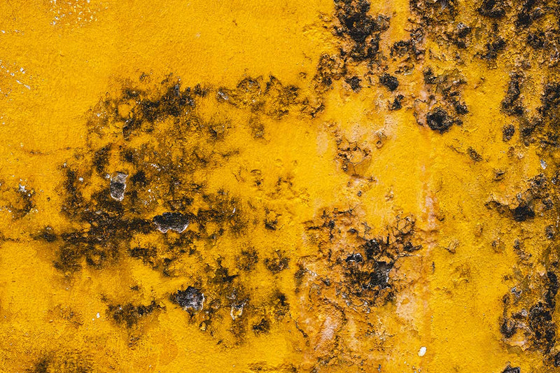 Mold
