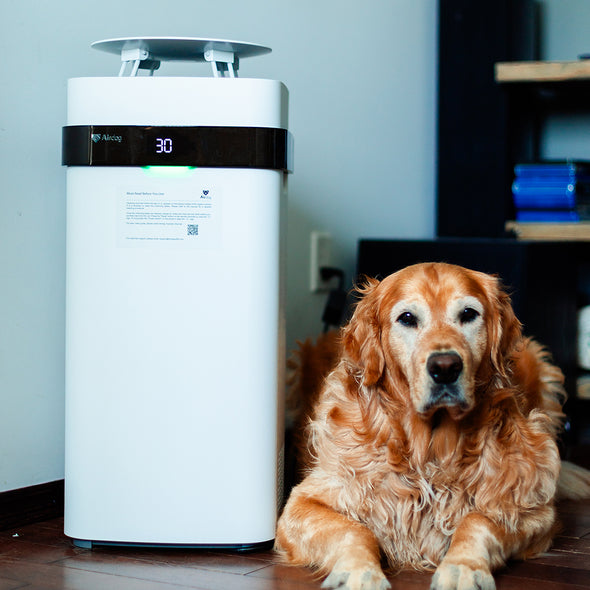 Airdog Pet Air Purifier-up to 1600 sq.ft.