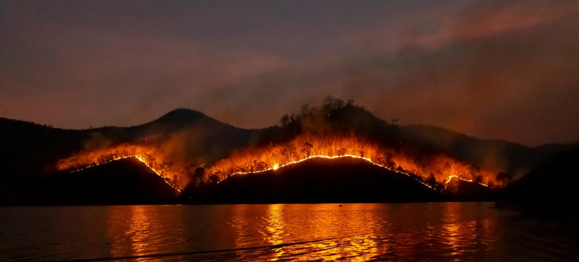 Air Purifiers for Wildfire