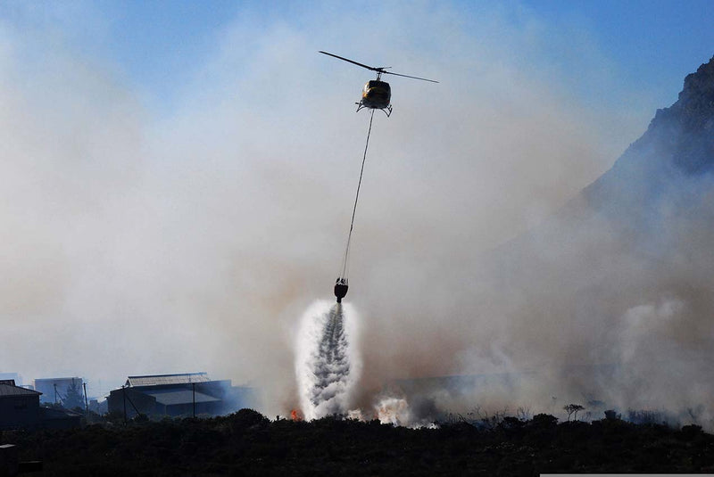 Wildfire